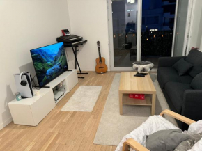 Splendide appartement type T2
